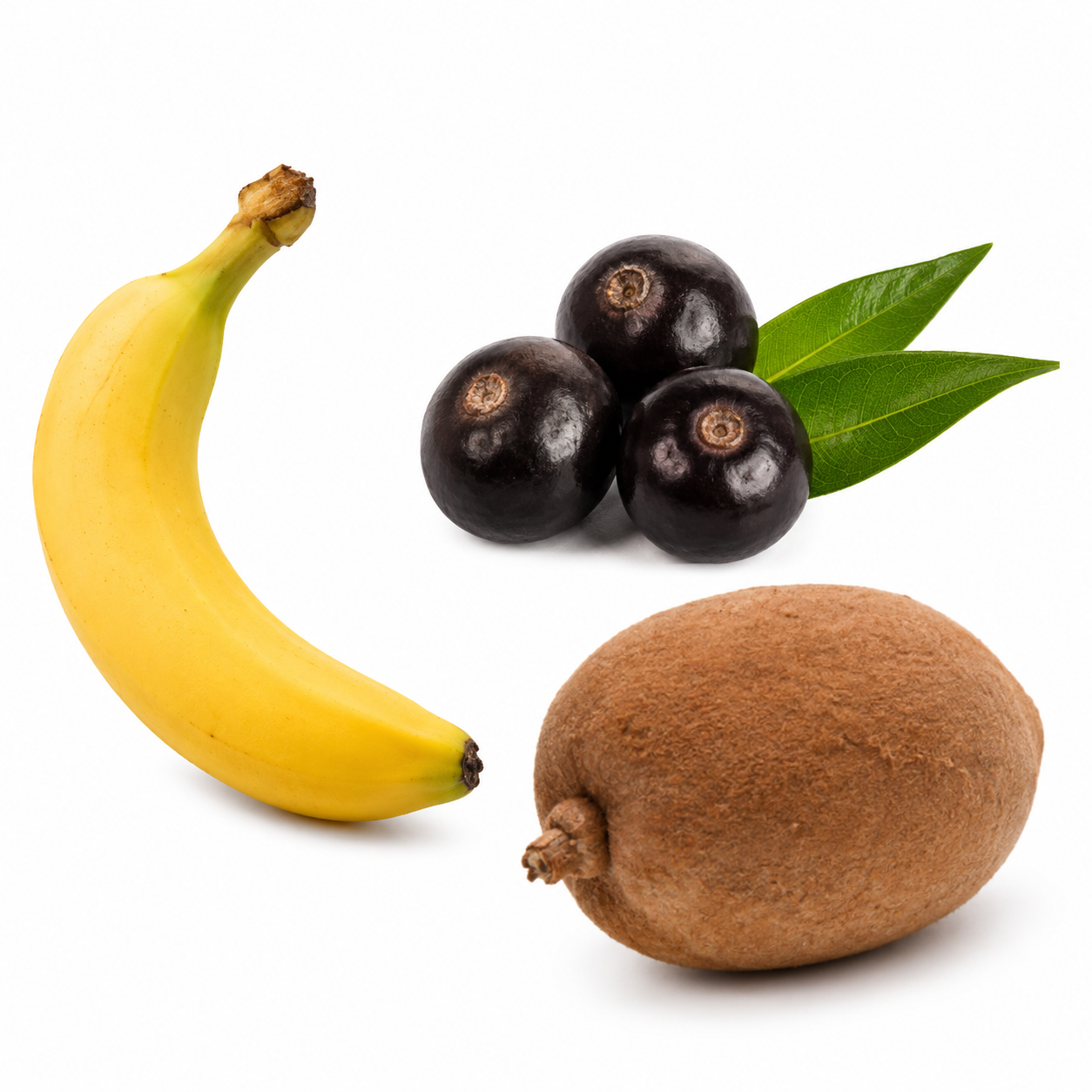 Banana, açaí e cupuaçu frescos, as frutas que entram nas nossas versões.